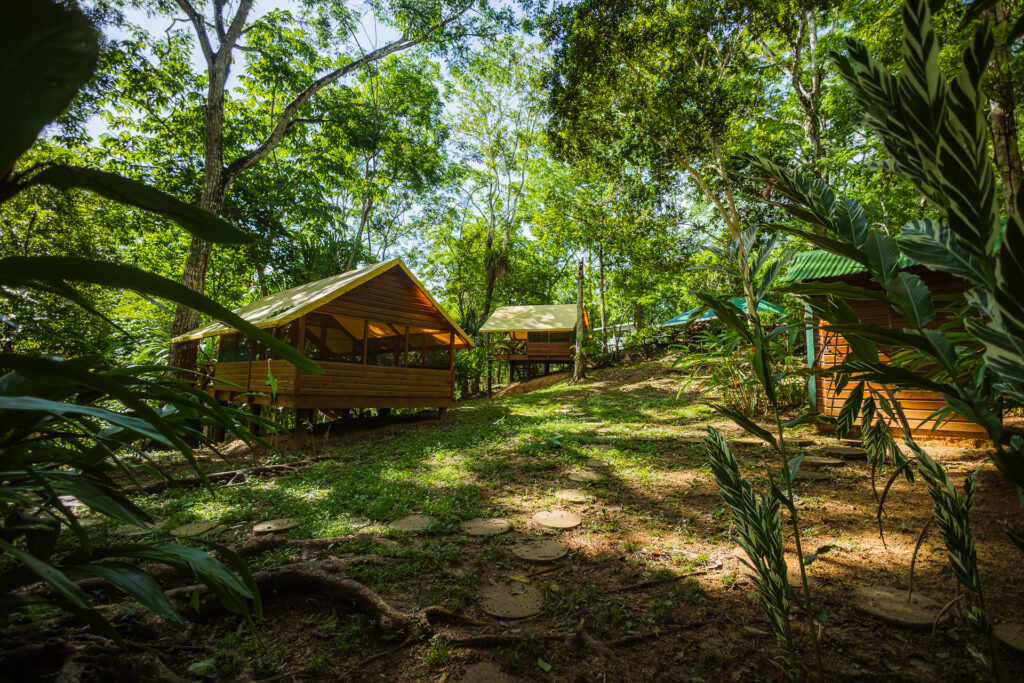 Belize Rainforest Retreat Belize Chaa Creek 