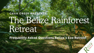 The Belize Rainforest Retreat