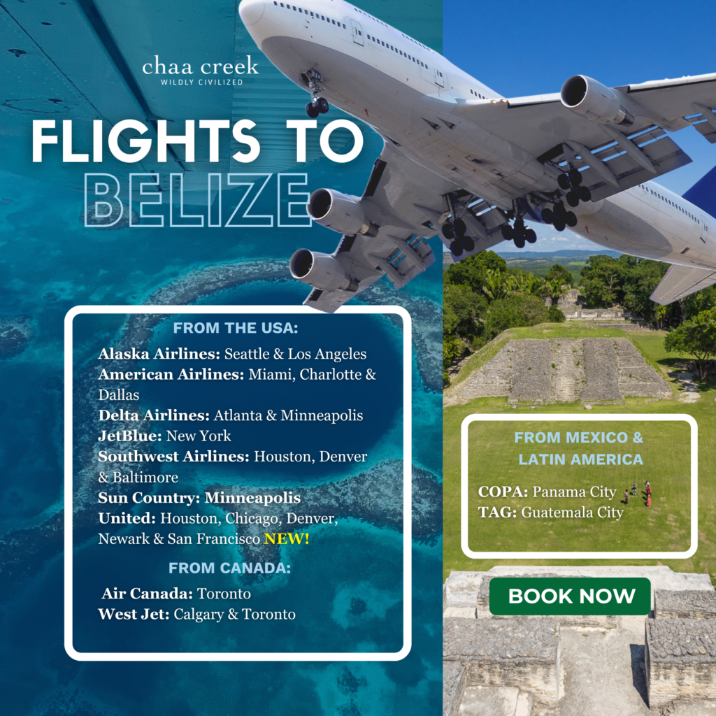 Flights to Belize 