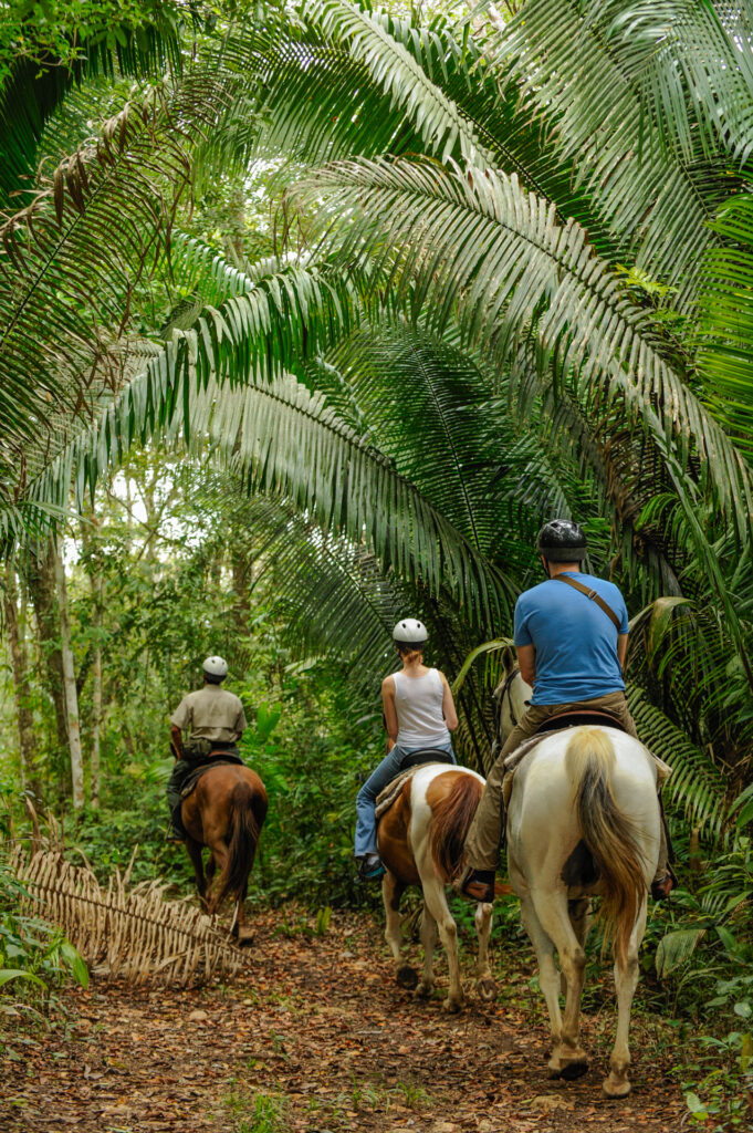 chaa creek Horseback riding 