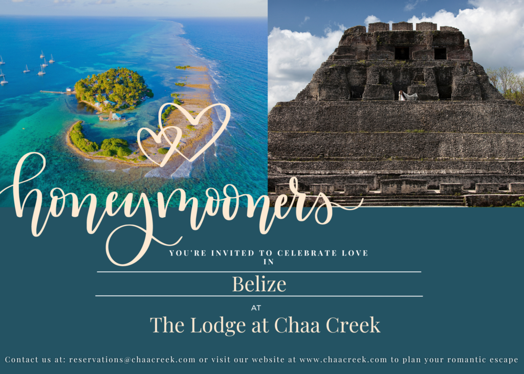 Honeymoon and weddings in Belize 