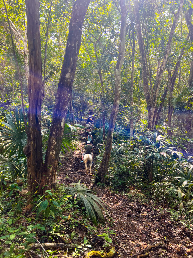 Retreats Belize Horseback Riding Chaa Creek 