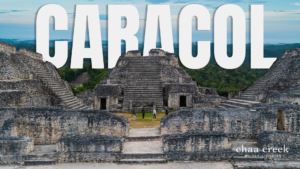 Caracol Belize