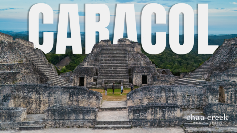 Caracol Belize